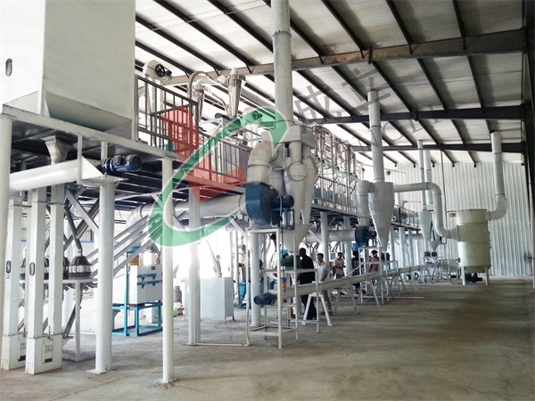 玉米糝水蜜桃在线播放