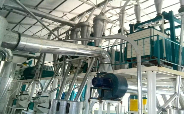 玉米水蜜桃在线播放