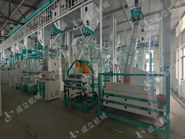 200噸級大米水蜜桃在线播放